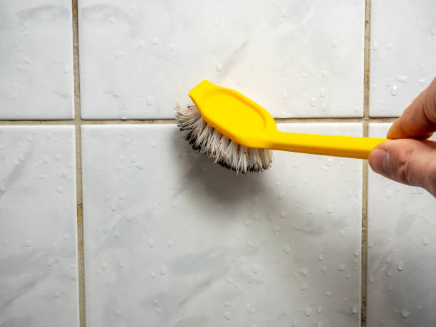 Best Best Mold Removal Companies  in West Richland, WA