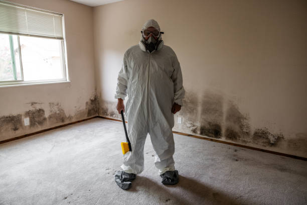 Best Crawl Space Mold Removal  in West Richland, WA